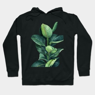 Ficus Plant Illustration Hoodie